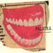Palatka