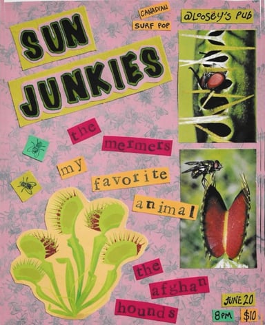 2025-06-20-looseys-sun-junkies