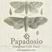 Papadosio