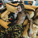 Wiz Khalifa
