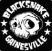 Blacksnake