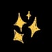 Jadne