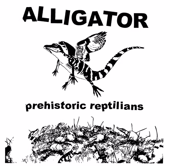 Alligator