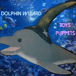 DolphinWizardCo